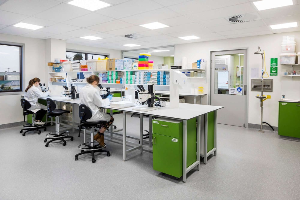 Top 5 Laboratory Design Trends Amicus