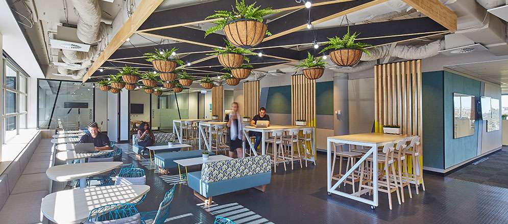 Amicus Project Ntt Dimension Data North Ryde