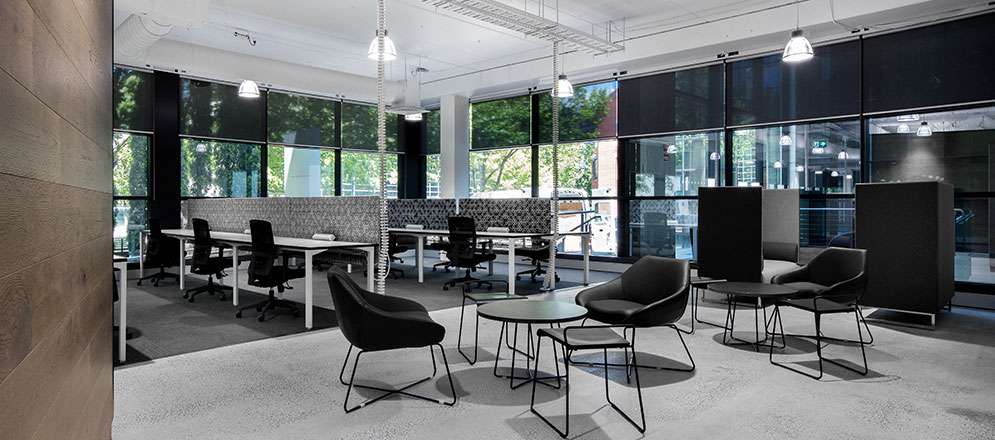 IVE Group Office Fitout