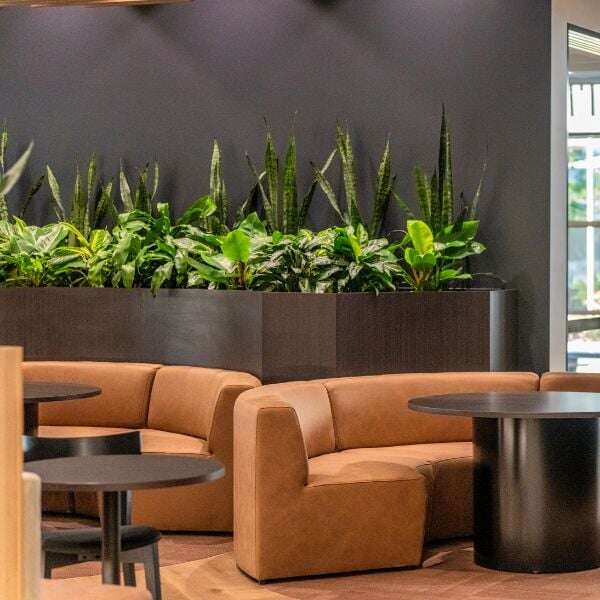 Office Design