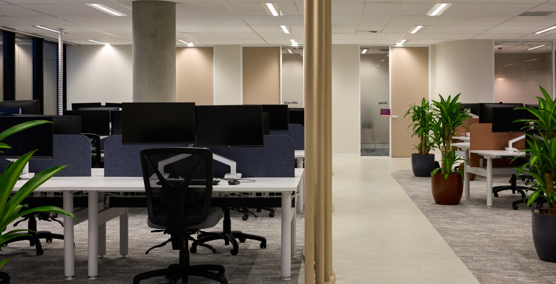 Open-plan IRT office fitout by Amicus with modular workstations, acoustic screens and indoor planting