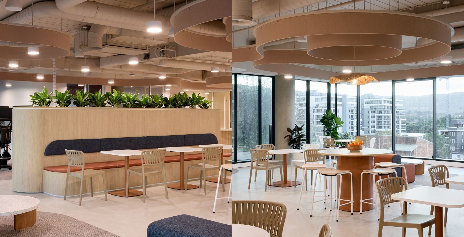 IRT social hub by Amicus with flexible seating, curved acoustic panels and views towards the Illawarra escarpment