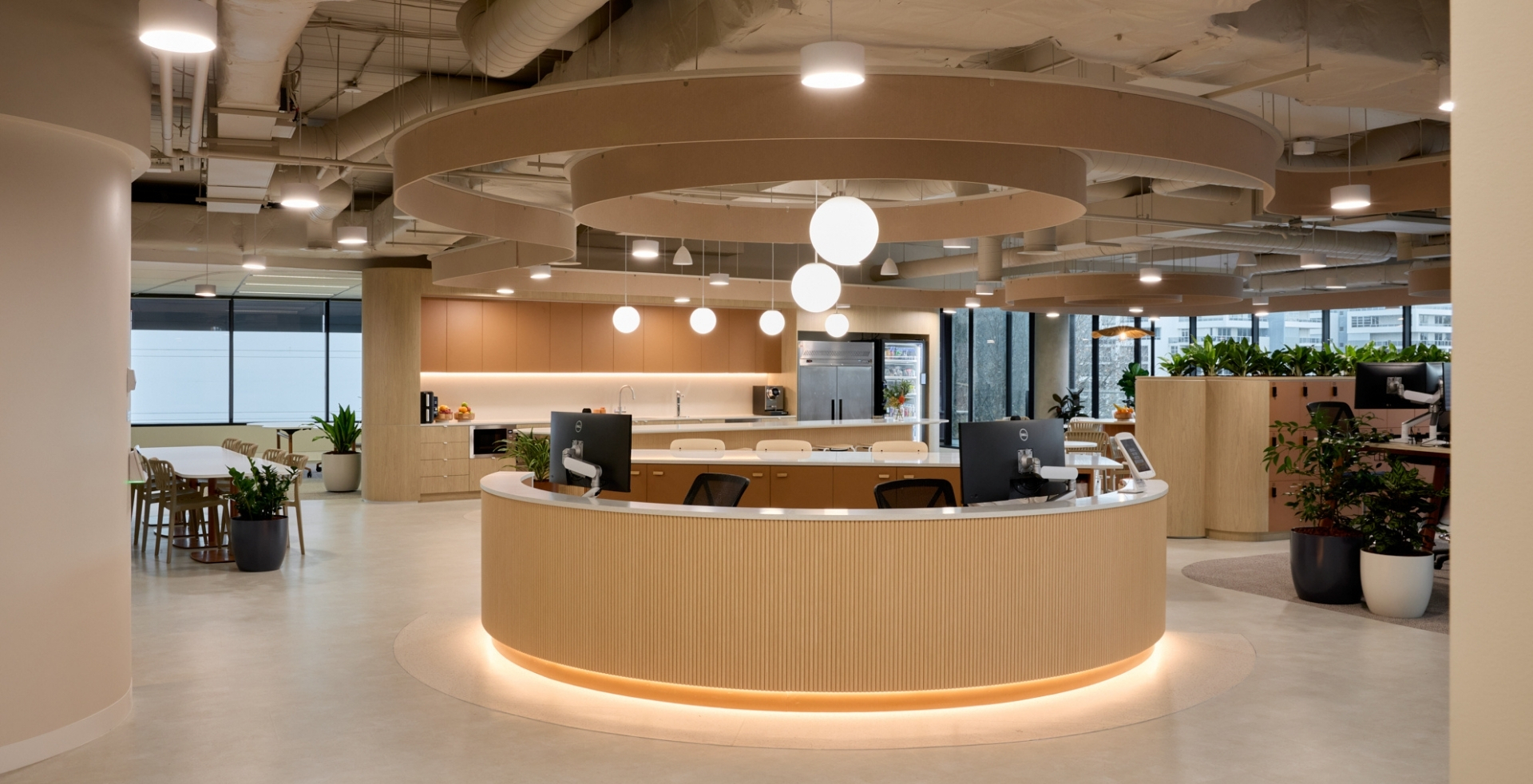 IRT’s workplace transformation by Amicus featuring a curved service desk, natural timber and indoor planting