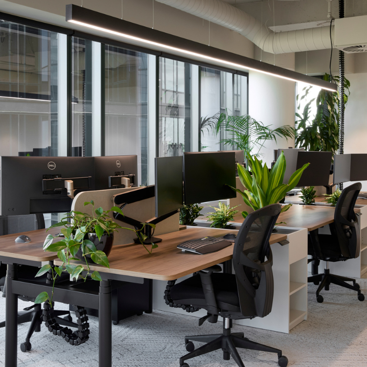 Contemporary office design by Amicus