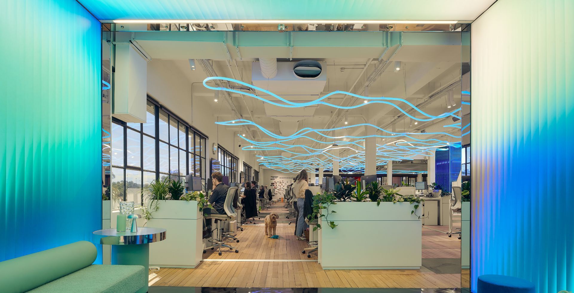 Commerical workspace with LED walls and custom lighting