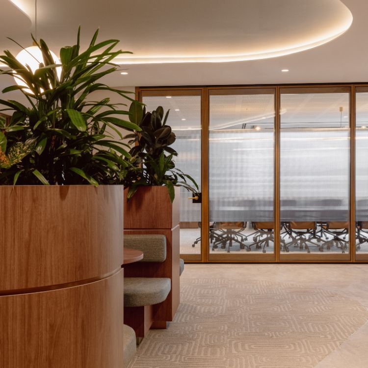 Front-of-house space with timber seating, integrated greenery and curved ceiling lighting, leading to meeting rooms in Gilchrist Connell’s Melbourne workplace.