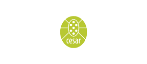 300x132 logo_cesar