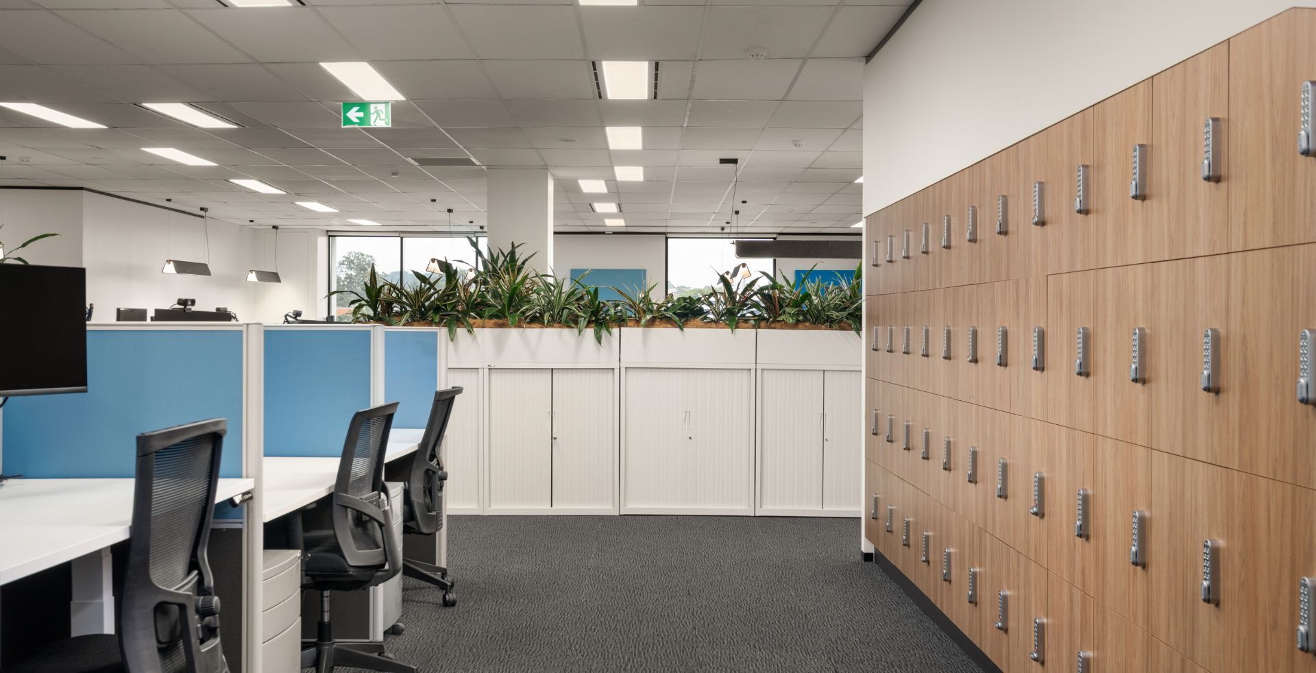 Office workspace corridor featuring a long wall of timber staff lockers next to blue cubicle desks and planter boxes