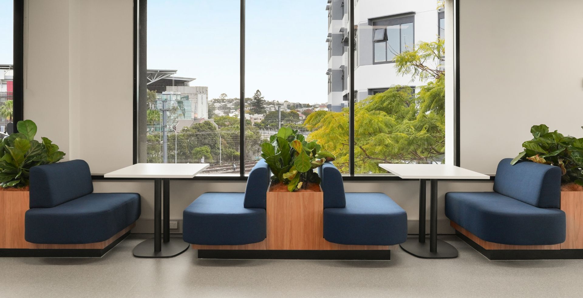 Breakout space with blue fabric booths and white tables separated by built-in timber planters under large windows for Diabetes Australia's office
