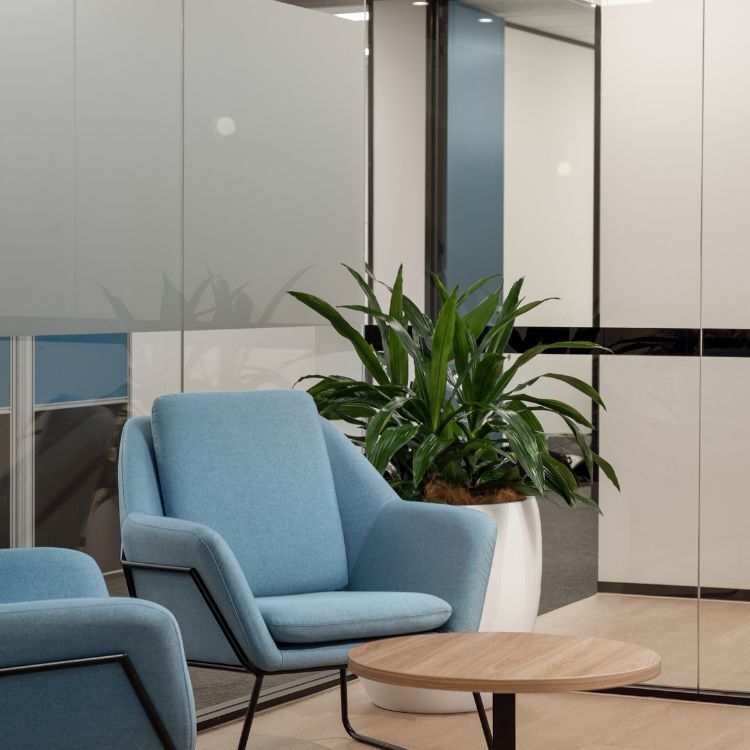 Casual meeting corner featuring light blue fabric armchairs, a round timber coffee table, and a large potted plant