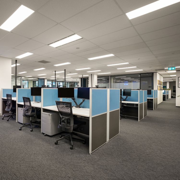 Open-plan office workspace featuring rows of desks separated by light blue and grey privacy cubicle panels for Diabetes Australia's office