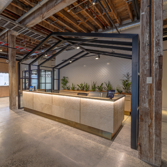 Reception desk for Domain office fitout in Sydney