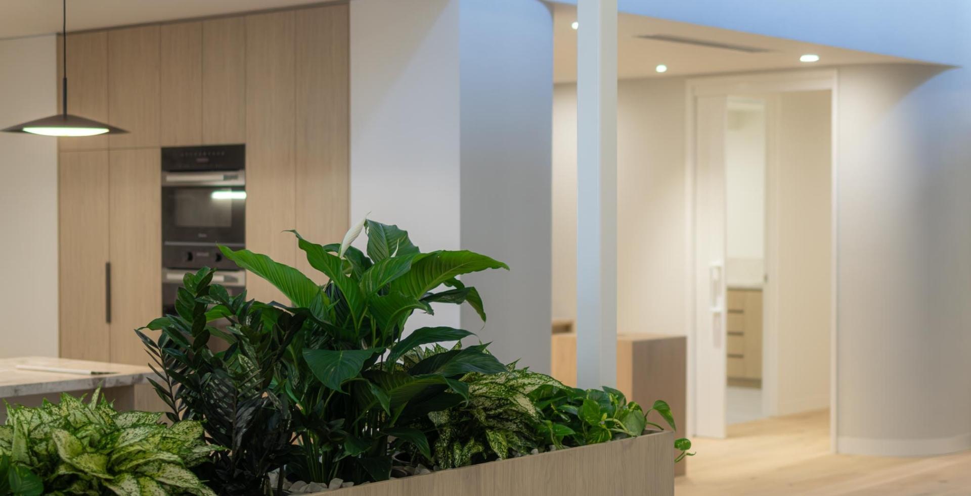 Open space display suite for Goldfields