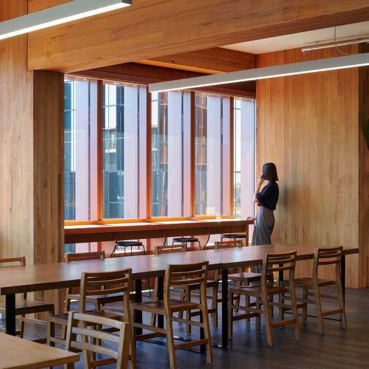 timber finishes in melbourne office fitout