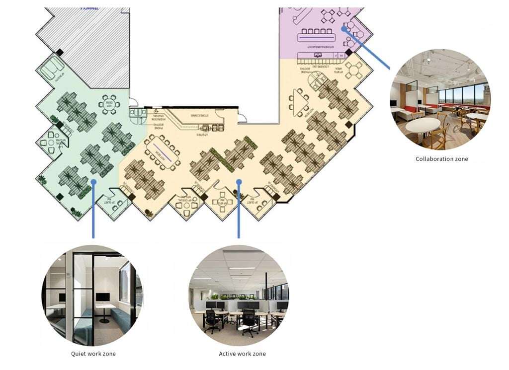 Office Zoning - Plan For Productivity & Wellbeing | Amicus