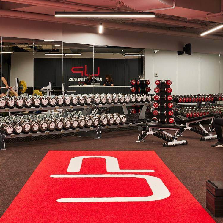 weights in a sydney gym