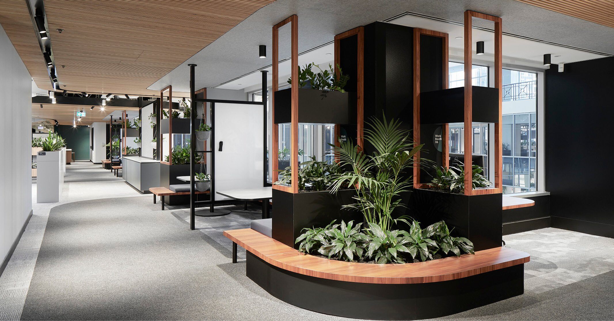 Lively office space with plants and interior design