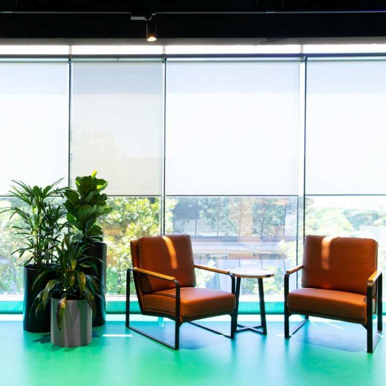 A modern sitting area features two brown armchairs with black frames, a small round table between them, and several potted plants. Floor-to-ceiling windows in the background let in natural light and provide a refreshing view of trees outside—perfect for fostering innovation in healthcare start-ups.