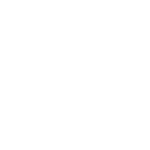 Solution - Strategy icon