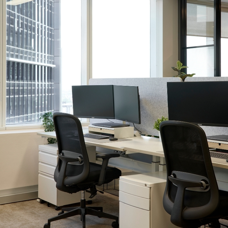 Flexible workspace with view of Sydney CBD