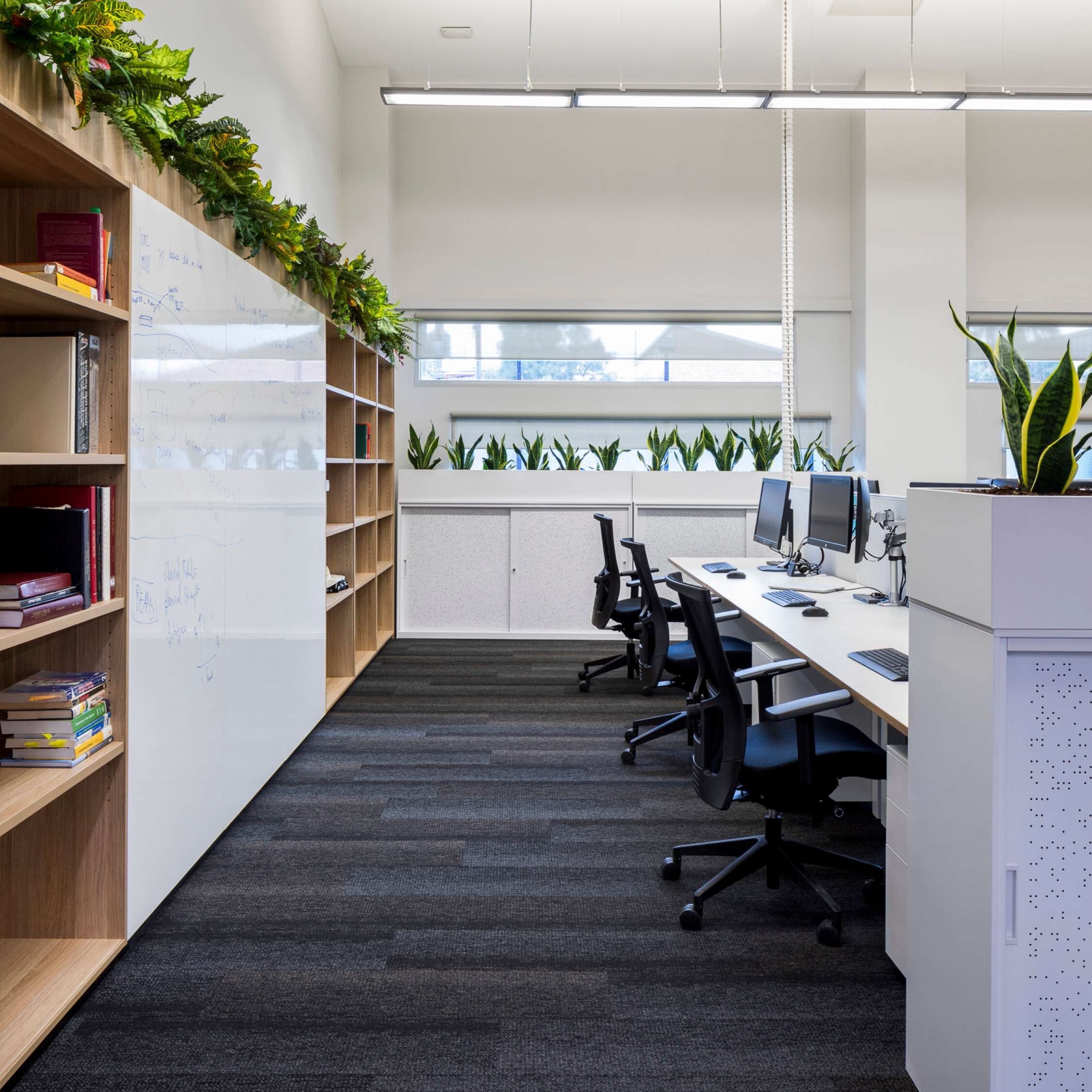 Modern office with lots of natural light and plants.