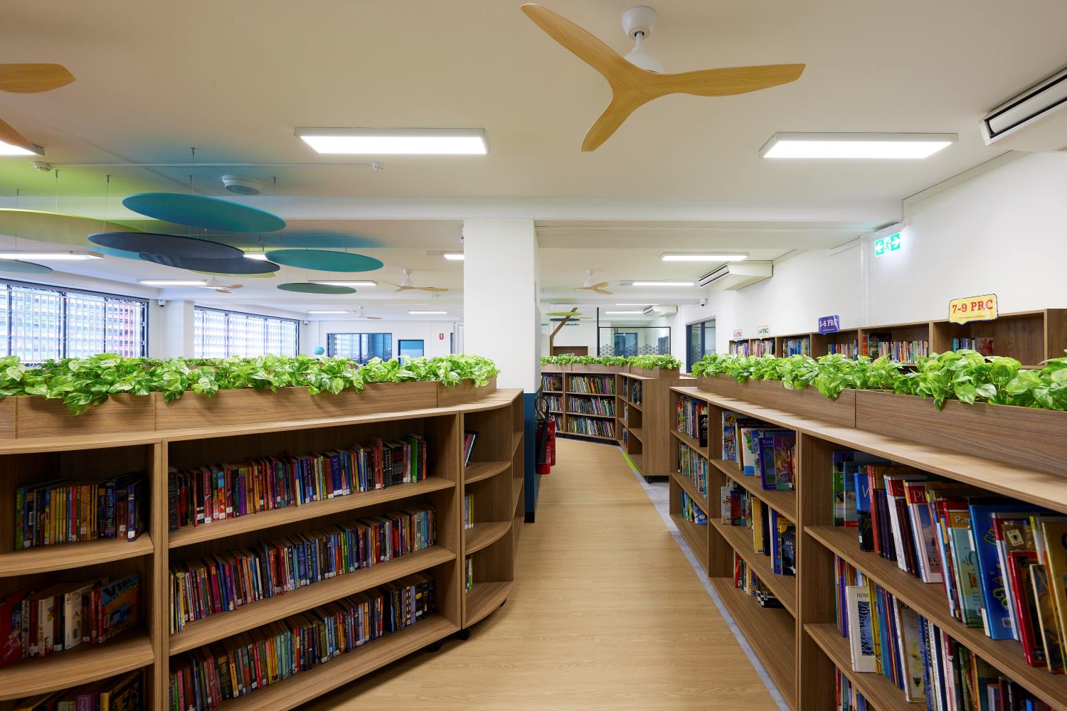 school-library-shelving