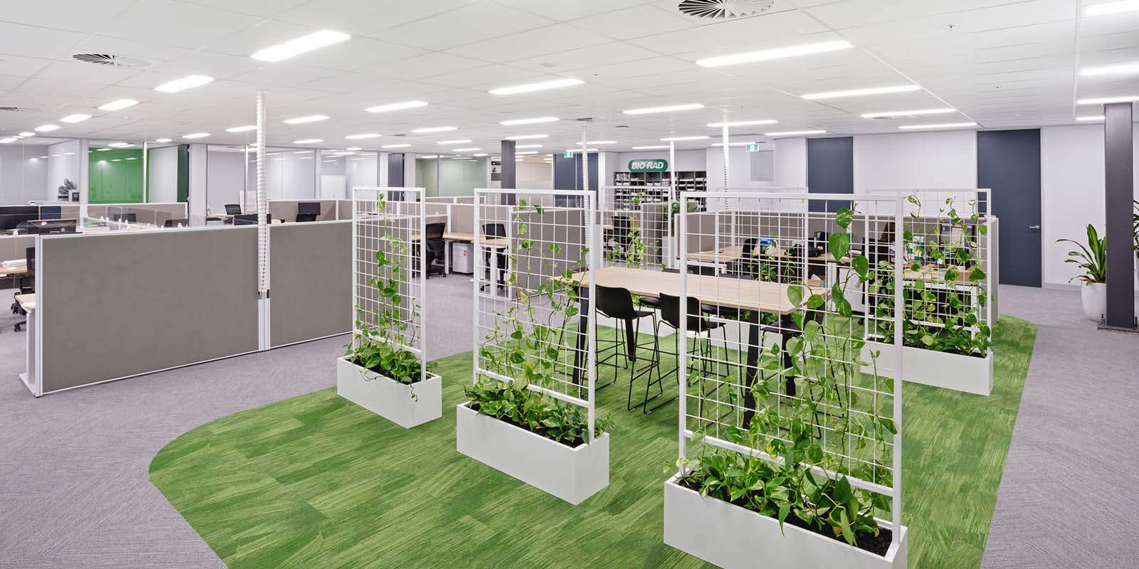 BioRad office interior