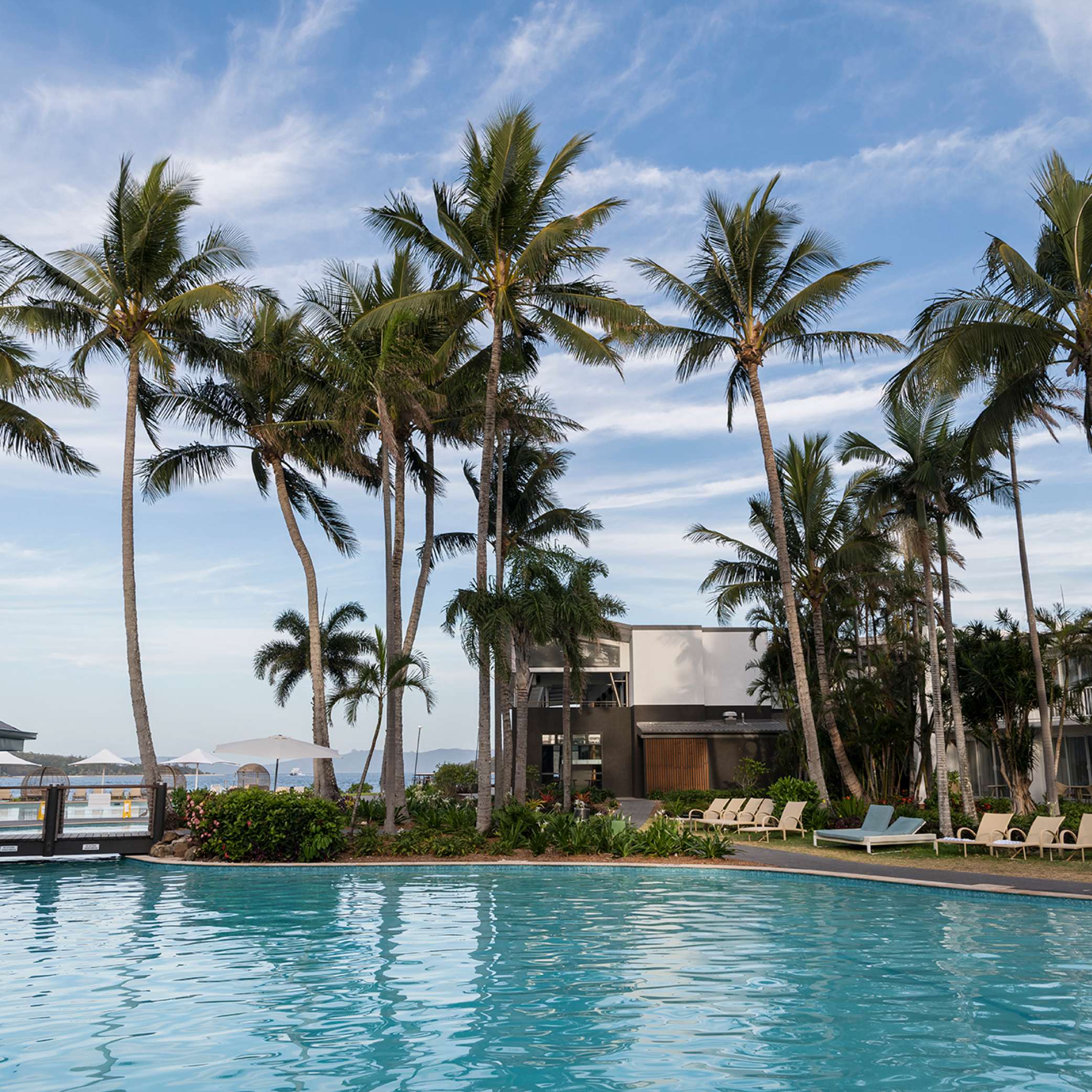 Daydream Island Resort's Outdoor pool area surrounded by tall palm trees with a modern building in the background and lounge chairs along the poolside, under a clear blue sky.