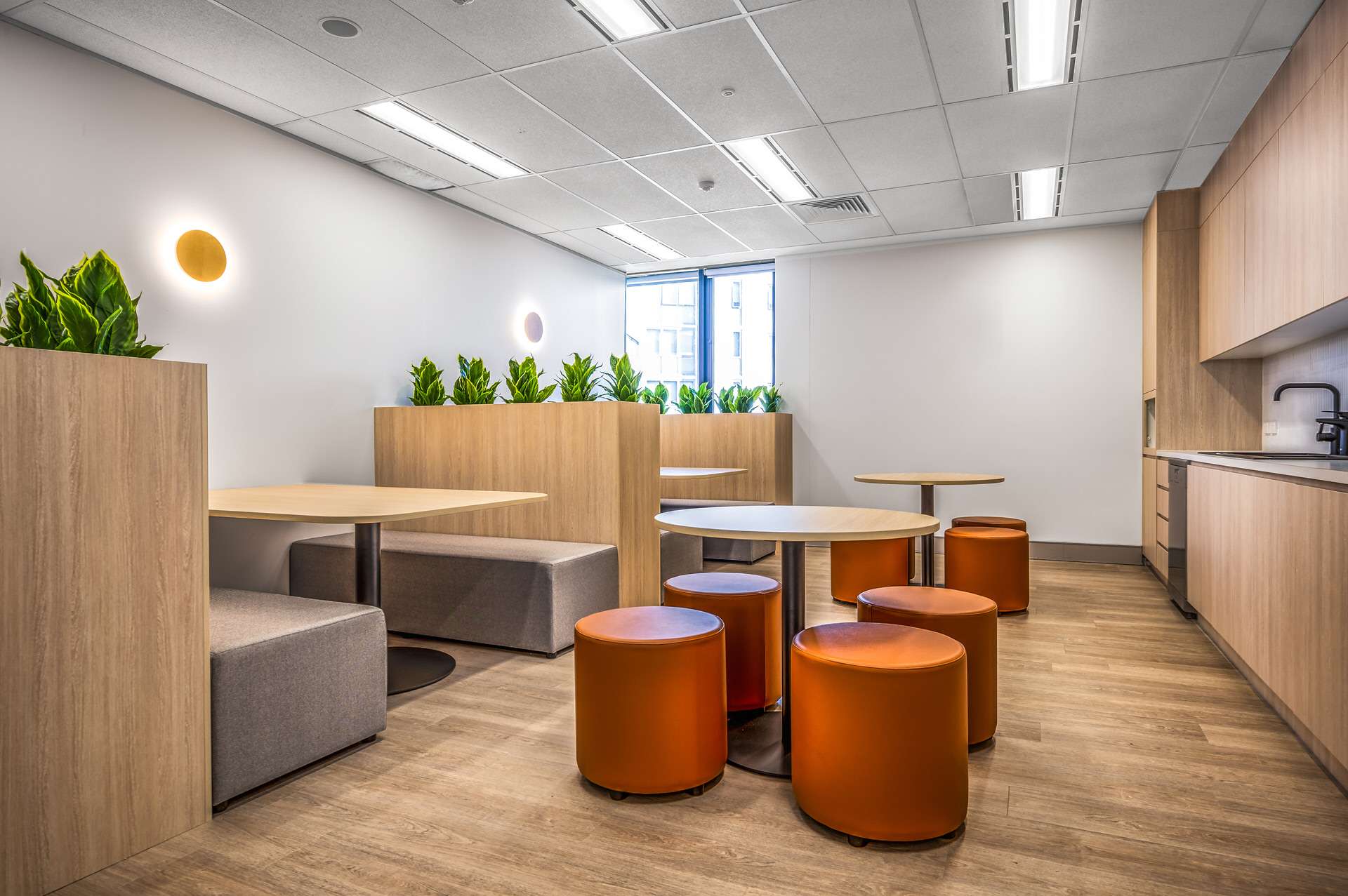 Level 2, 40-52 MDougall Street Milton (16)