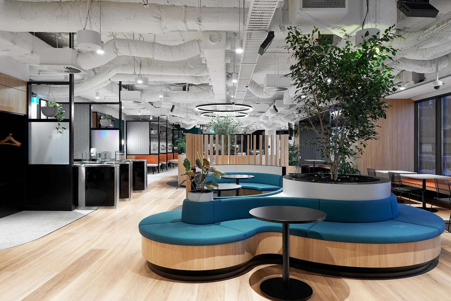 Snake-like blue seat in the middle of Hydro Group office.