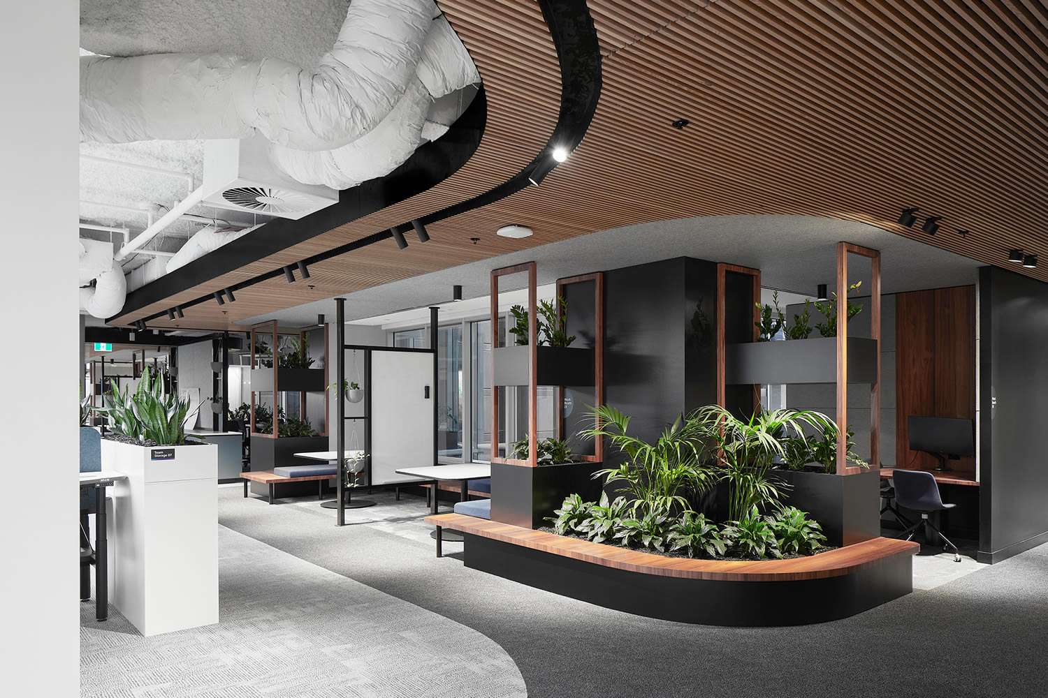 Hydro Group office with detailed wood panelling on ceiling coupled with garden bed on rounded corner.