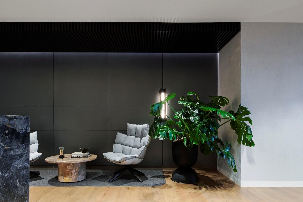 Waiting area with marble coffee table, inviting chairs and a large, healthy plant.