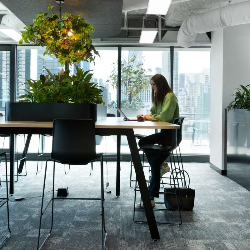 A person is seated at a high table next to a large window in a modern office with city views. The space, showcasing workplace strategy, features green plants, natural light, and contemporary furniture, including high chairs and overhead lighting. The person appears to be working on a laptop.