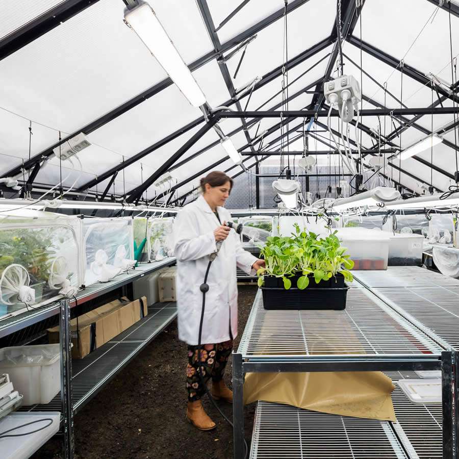 Laboratory Design Amicus