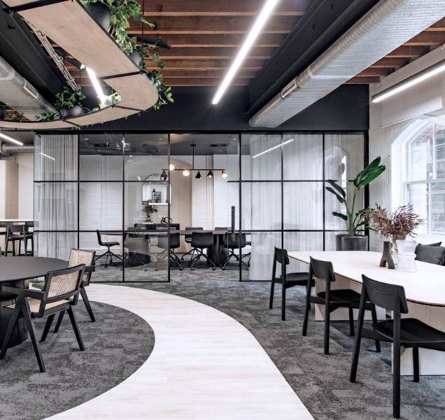 a Sydney spec suite fitout by Amicus