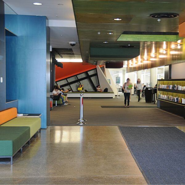 university library built by Amicus