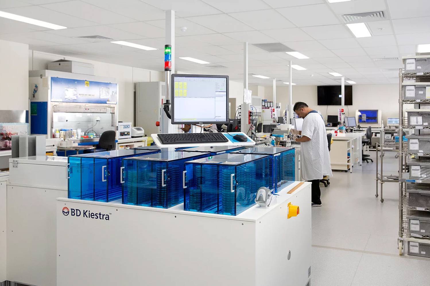 Westmead lab fitout
